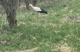 Chyża Chata na Krańcu Świata - Foto 70