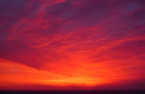 Coastal Charm-Getaway to Artichoke's Seaside Oasis - Foto 16