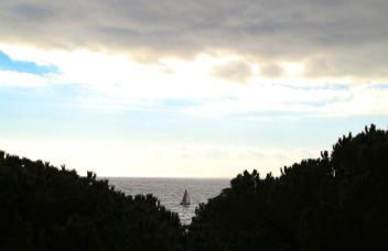 Raffy's HOME - Foto 31