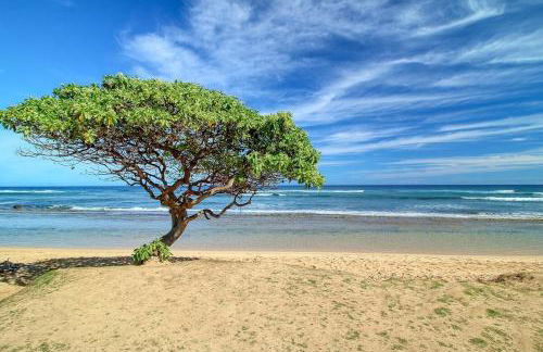 Mountain View Double Bed Room, Beachfront Resort, Lanai, AC, Pool, Restaurant, Gym, Spa - Foto 67