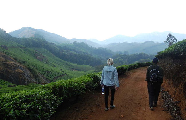 Letchmi Hills + Munnar Tea Plantation Hike - Photo 4