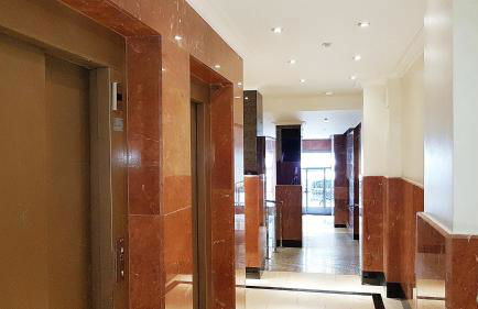 Salamanca Frog - Foto 11