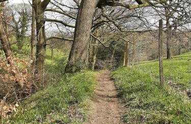 Beautiful countryside cottage, sleeps 6, dogs welcome - Foto 16