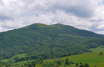 Smerekowa Ostoja - Photo 40