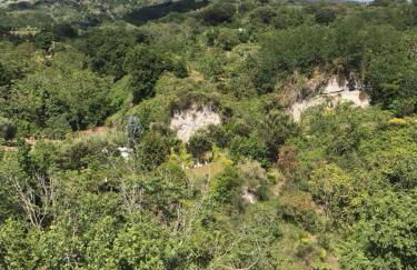 Domus Agricolae Corallina - Foto 31