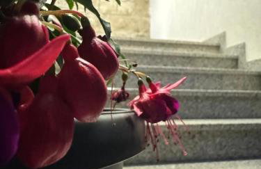 Casa Nevija - Foto 32