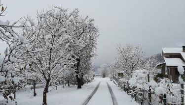 Agriturismo Fior Di Campo - Foto 3