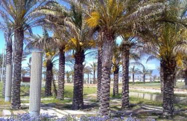 La Burbuja - Foto 41