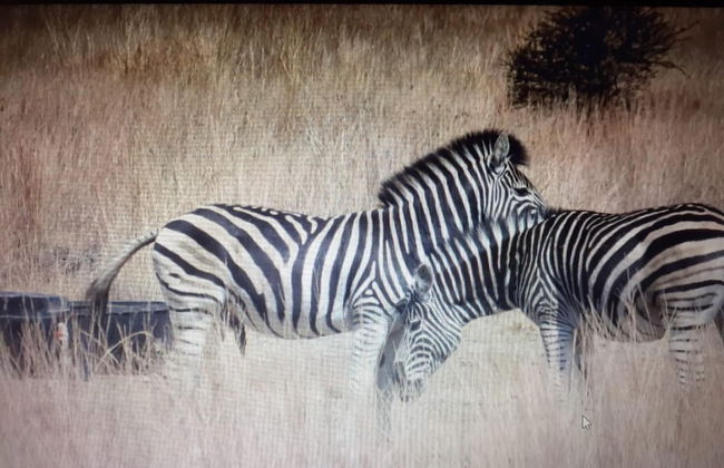 Tata Farm Lodge - Foto 21