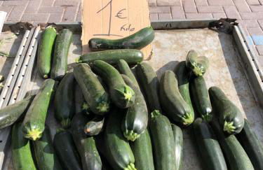 L' Azotea del Sol appartement typique - Foto 65