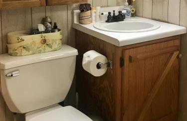 Sunnybrook Cabin, wooded, private with stream, near ATV trails - Foto 8