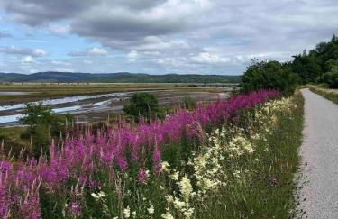 Cosy Karibu cottage with stunning canal views - Foto 17
