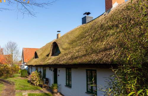 Ferienpark Vieregge - Häuser 2-2D - Photo 1