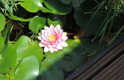 Holiday Home Mit Liebe ausgestattetes Haus im Naturpark by Interhome - Photo 3