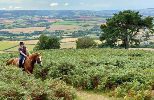 Pardlestone Farm – Self-Catering Cottages - Foto 75