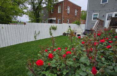 Beautiful Basement Suite & Outdoor Oasis - Photo 19
