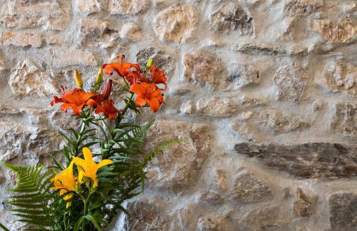 Ap. Lancillotto - Lago di Garda - Photo 19