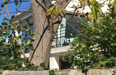 Villa Macalia - Foto 8