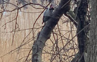 Słoneczna Zatoka - Foto 15