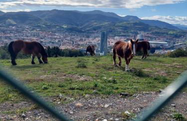 Bilbao center apartamento 2 hab - Foto 19