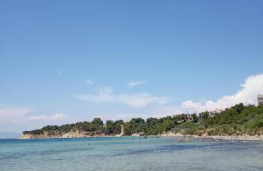 PYRGOS RALLI ESTATE Guesthouse - Foto 13