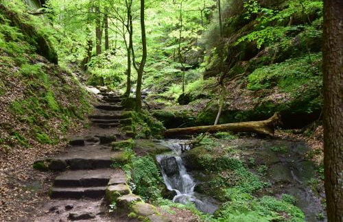 Cosis Ferienwohnung - Foto 46