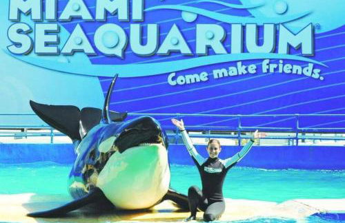 My lovely home in Miami 15 minutes from the Beach - Foto 30