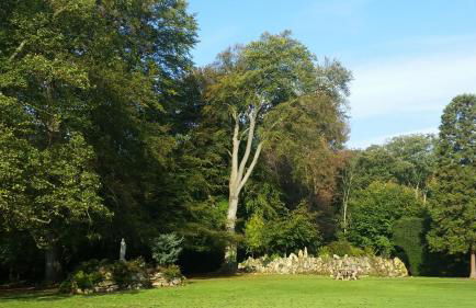 Hazlewood Castle & Spa - Foto 31