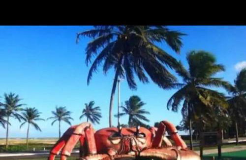 Ap a 800m da praia da Atalaia - Foto 9