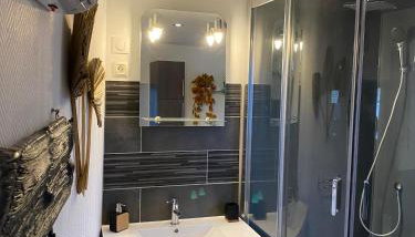 Appartement cocooning a ruaux - Foto 5, Shower