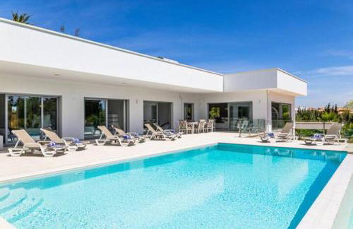 Fazenda Viegas - Foto 4