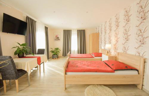 Mainzimmer - Business Apartments - Foto 51