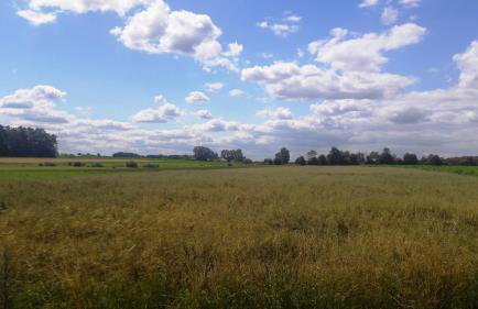 Apartamenty Sawino 4 - Foto 32