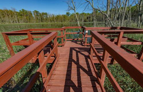 The Rushes - Foto 67