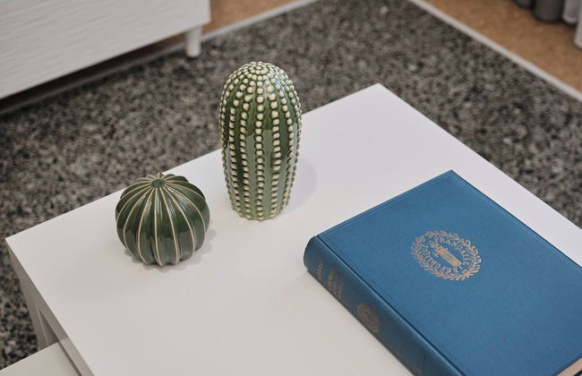 Colosseo-san Giovanni, New Apartment Wi-fi & A-C - Foto 43