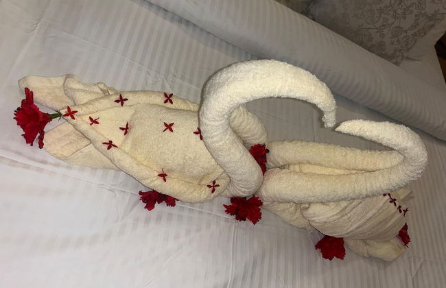 M&M VILLAS ZANZIBAR - Foto 4