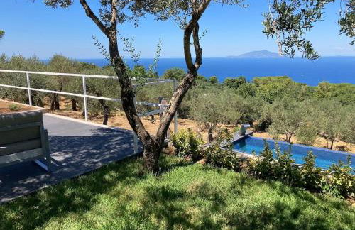 “CapriOleum” esclusive place - Foto 3