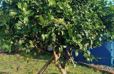 Casa Piedra Miranda - Foto 17