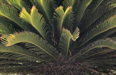 Villa Faros Vourkari Kea with private pool and stunning views - Foto 16