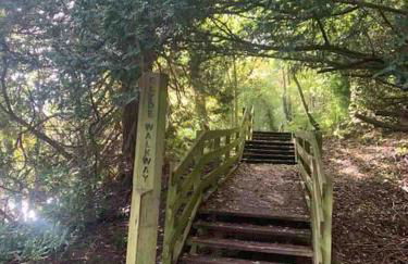 The Orchard Apartment, Clyde Valley - Foto 40