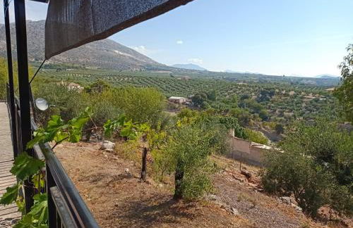 El Almendro de Fuentes Nuevas - Foto 38