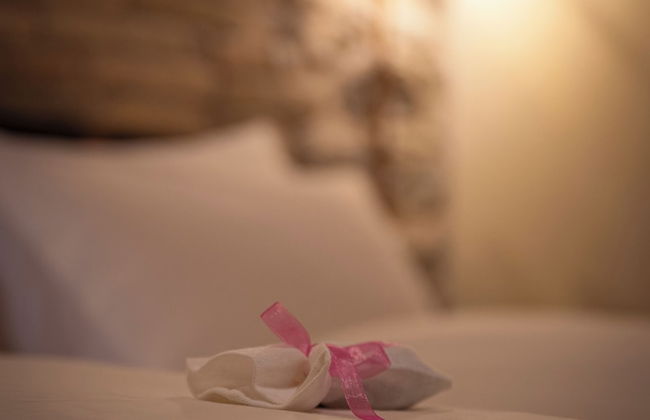 Podere Tovari - Foto 19