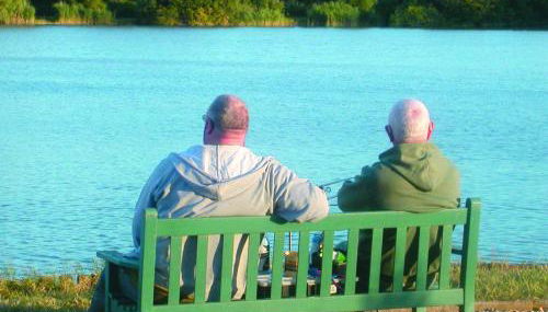 Dragonfly Stays at Lower Lakes - Foto 4