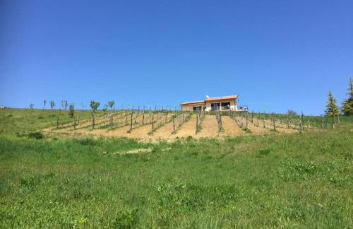 Modern villa with panoramic view - Photo 15