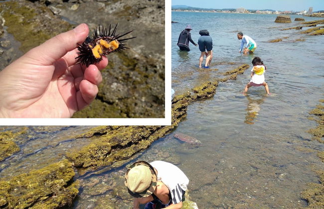 Bettei Tateyama - Foto 21