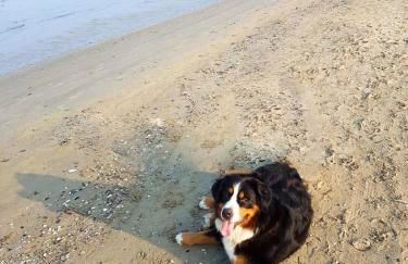 La Casa di Pamy - Foto 49