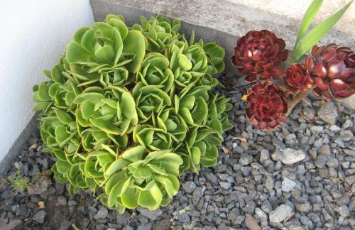 Casa do Paim - Photo 38