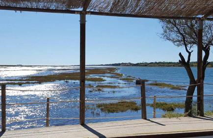 Pedras D'el Rei - Vista Jardim - Foto 29