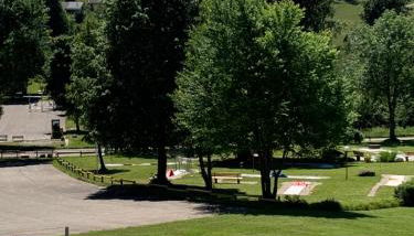 Black Forest - Foto 2