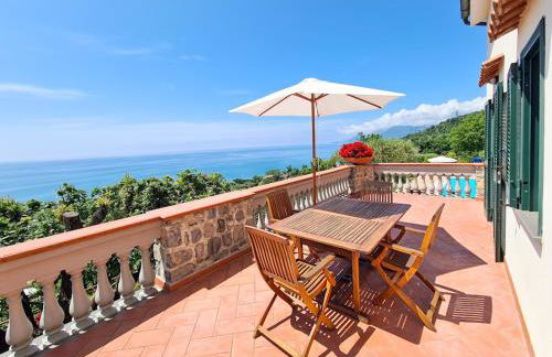 Villa Le Cannicelle - Foto 38